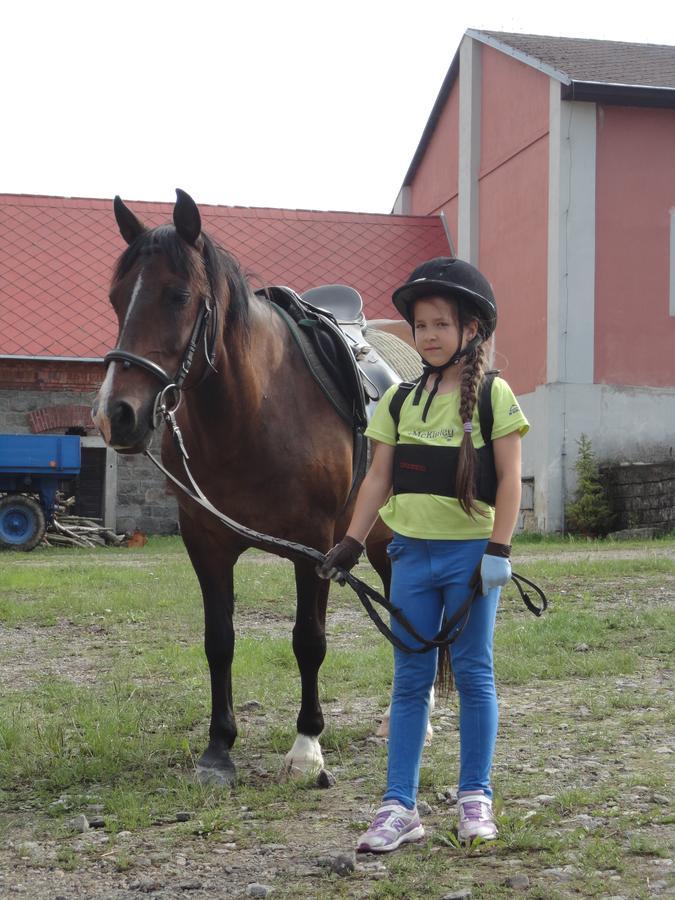 Jizdarna Zamek Skalice Apartment