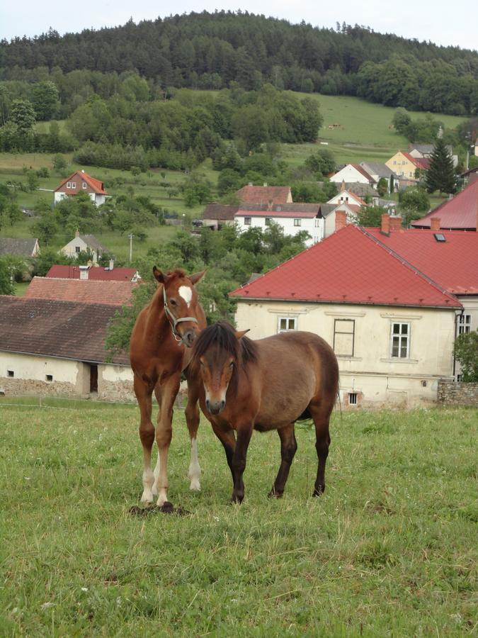 Jizdarna Zamek Skalice *
